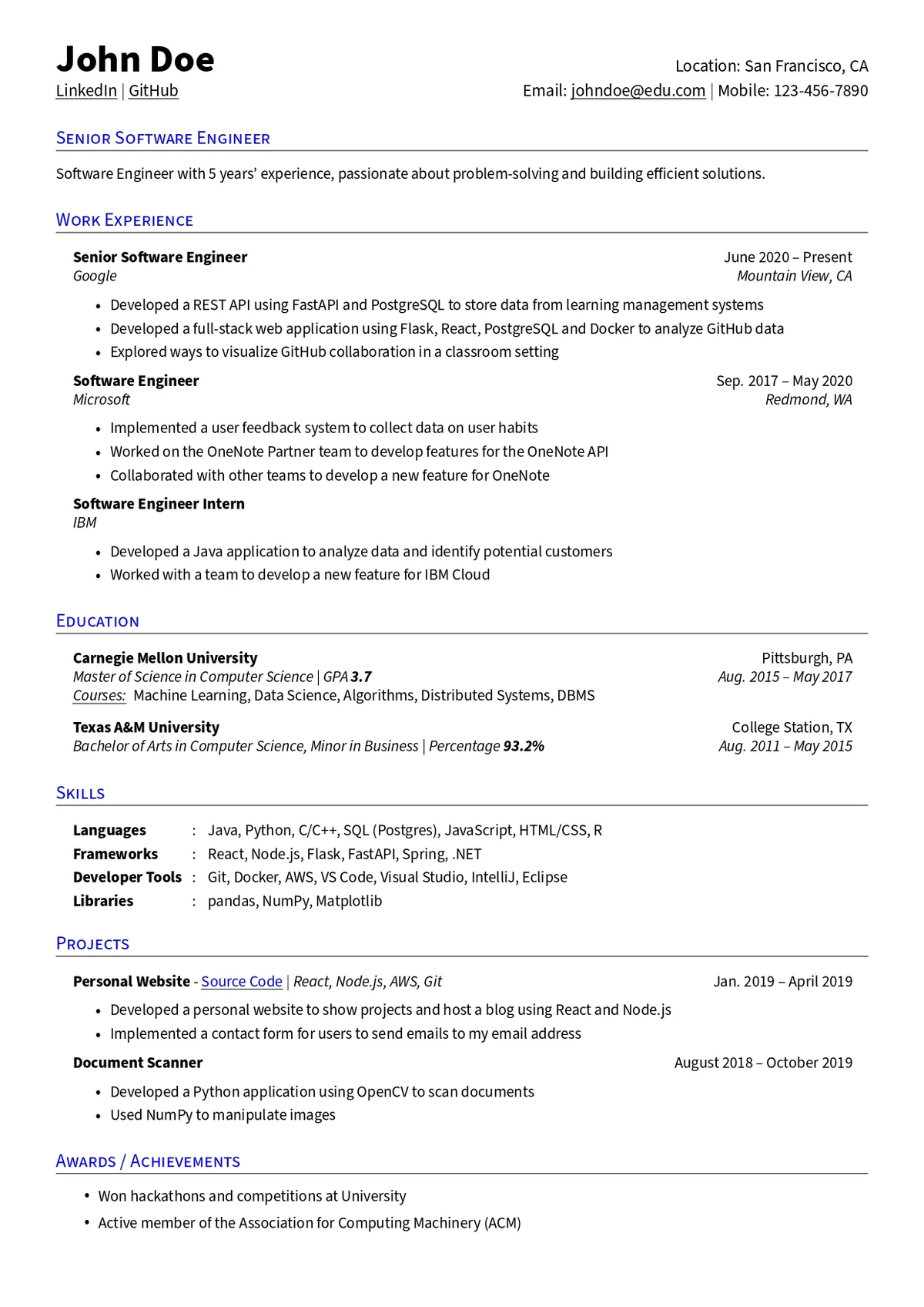 Neat and Professional Resume Template