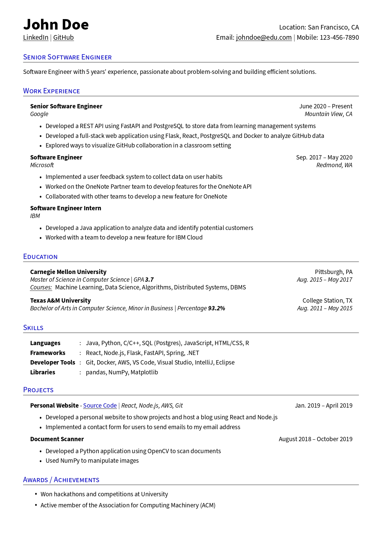 Neat and Professional Resume Template
